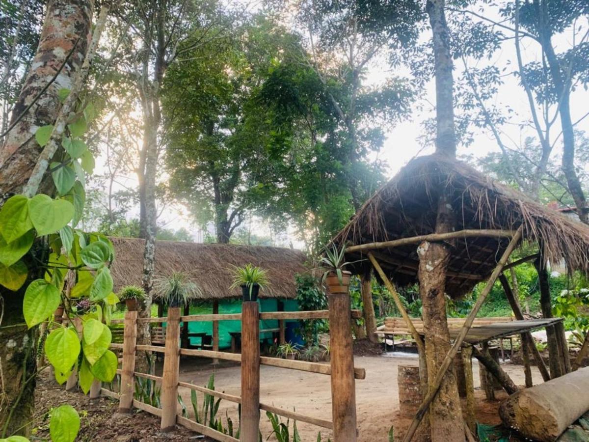 Kailasa Stays Chegat Luaran gambar